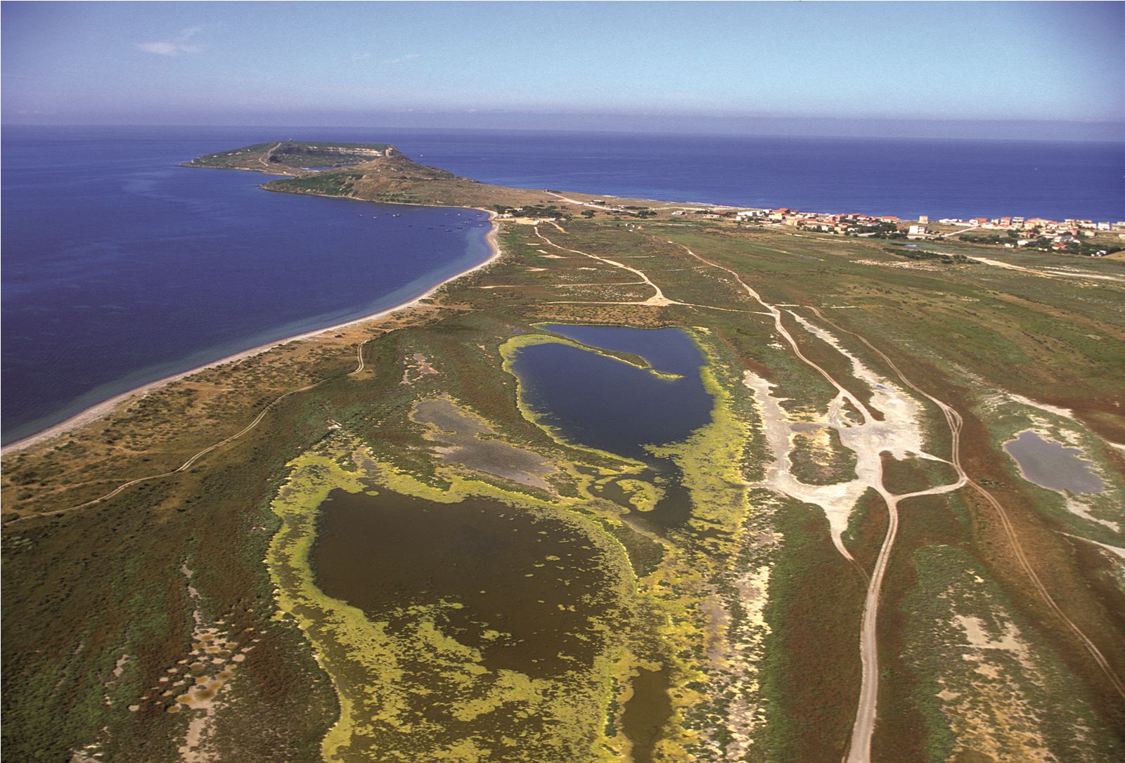 Vista aerea delle pozze temporanee della laguna di Mistras