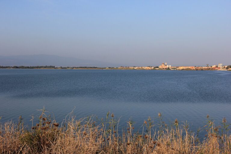 Lo Stagno di Cabras visto dalla riva, con il paese sullo sfondo
